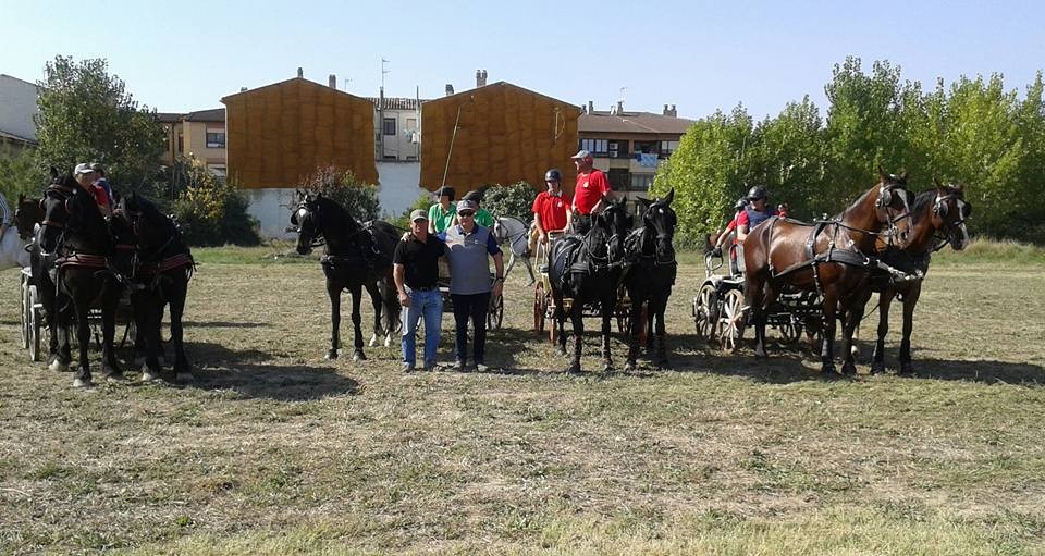 Campeonato Navarro de Enganches en Marcilla